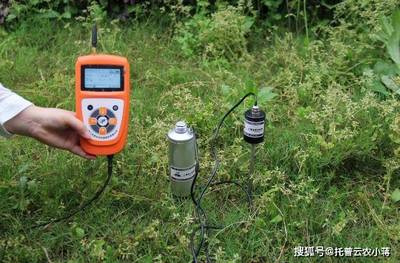 精准农田管理利器 土壤墒情速测仪如何提升农产品品质